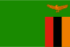 Medicine Courier to ZAMBIA from India